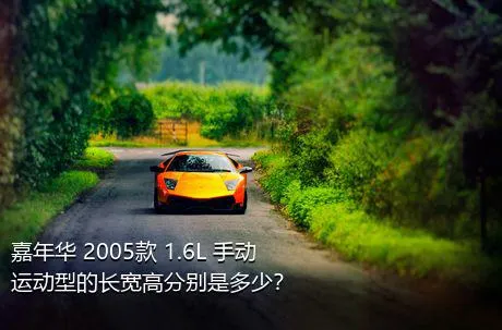 嘉年华 2005款 1.6L 手动运动型的长宽高分别是多少？