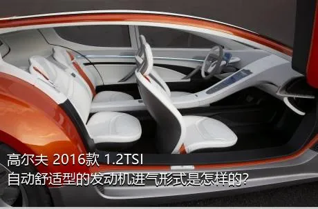 高尔夫 2016款 1.2TSI 自动舒适型的发动机进气形式是怎样的？