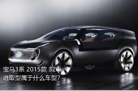 宝马3系 2015款 320i 进取型属于什么车型？