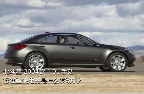 北斗星 2004款 1.0L 手动标准型使用的是什么发动机？