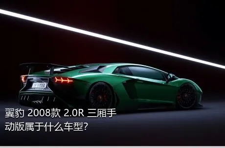 翼豹 2008款 2.0R 三厢手动版属于什么车型？