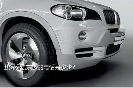 世贸泰信东盛的电话是多少？