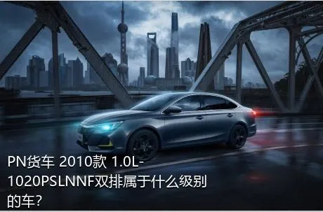 PN货车 2010款 1.0L-1020PSLNNF双排属于什么级别的车？