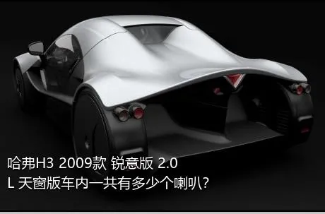 哈弗H3 2009款 锐意版 2.0L 天窗版车内一共有多少个喇叭？