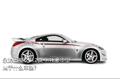 永源五星 2012款 1.1L豪华型属于什么车型？