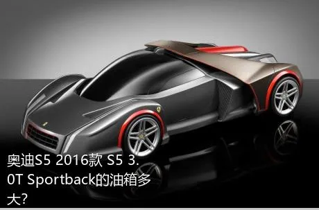 奥迪S5 2016款 S5 3.0T Sportback的油箱多大？