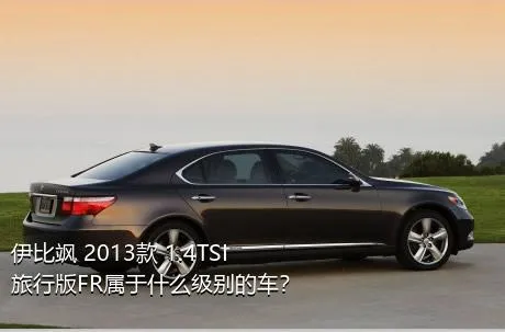 伊比飒 2013款 1.4TSI 旅行版FR属于什么级别的车？