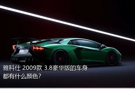 雅科仕 2009款 3.8豪华版的车身都有什么颜色？