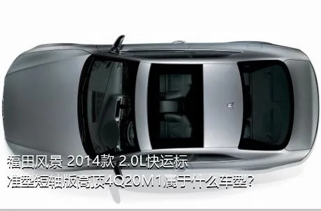 福田风景 2014款 2.0L快运标准型短轴版高顶4Q20M1属于什么车型？