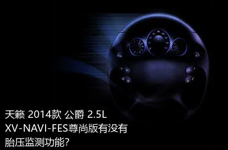 天籁 2014款 公爵 2.5L XV-NAVI-FES尊尚版有没有胎压监测功能？