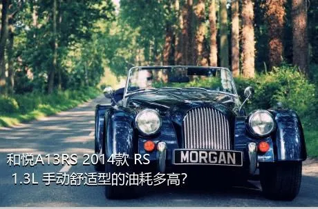 和悦A13RS 2014款 RS 1.3L 手动舒适型的油耗多高？