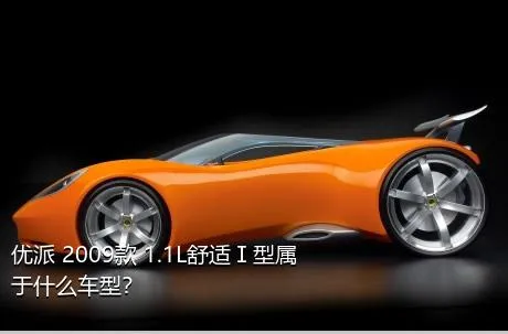 优派 2009款 1.1L舒适Ⅰ型属于什么车型？