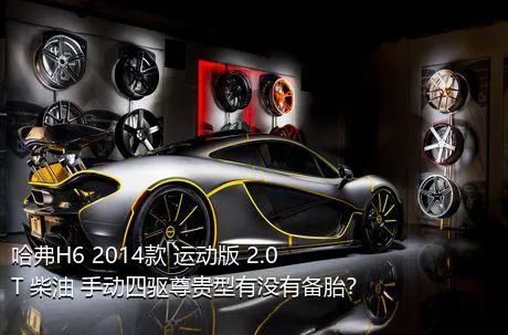 哈弗H6 2014款 运动版 2.0T 柴油 手动四驱尊贵型有没有备胎？