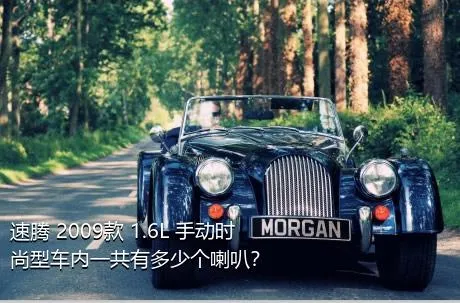 速腾 2009款 1.6L 手动时尚型车内一共有多少个喇叭？