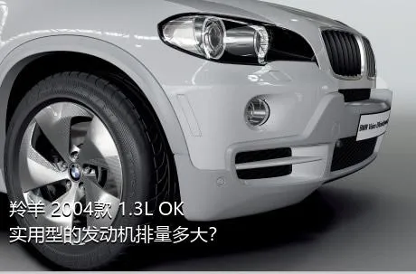 羚羊 2004款 1.3L OK实用型的发动机排量多大？