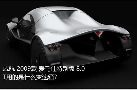 威航 2009款 爱马仕特别版 8.0T用的是什么变速箱？