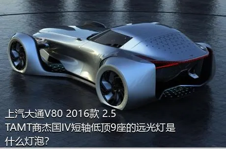 上汽大通V80 2016款 2.5TAMT商杰国IV短轴低顶9座的远光灯是什么灯泡？