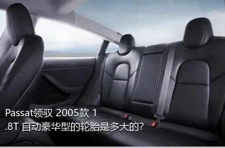 Passat领驭 2005款 1.8T 自动豪华型的轮胎是多大的？