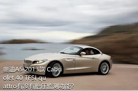 奥迪A5 2013款 Cabriolet 40 TFSI quattro有没有胎压监测功能？