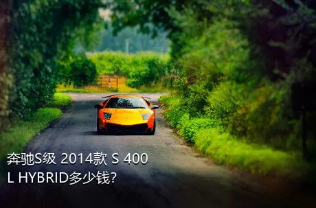 奔驰S级 2014款 S 400 L HYBRID多少钱？