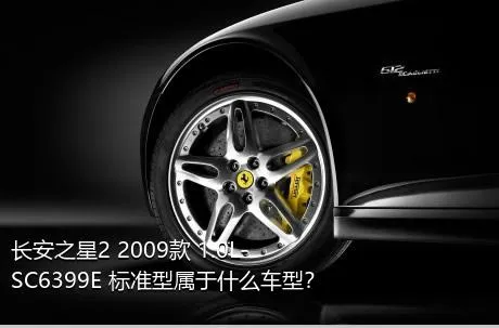 长安之星2 2009款 1.0L-SC6399E 标准型属于什么车型？