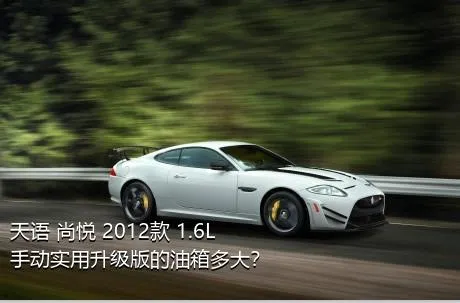 天语 尚悦 2012款 1.6L 手动实用升级版的油箱多大？