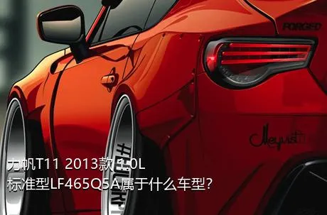 力帆T11 2013款 1.0L标准型LF465Q5A属于什么车型？