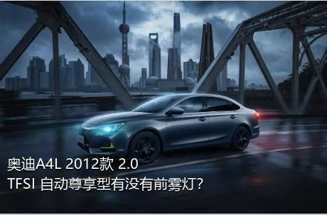 奥迪A4L 2012款 2.0 TFSI 自动尊享型有没有前雾灯？