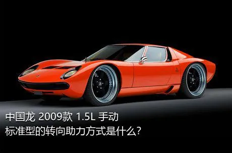 中国龙 2009款 1.5L 手动标准型的转向助力方式是什么？