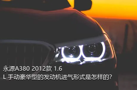 永源A380 2012款 1.6L 手动豪华型的发动机进气形式是怎样的？