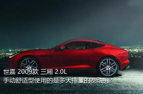 世嘉 2009款 三厢 2.0L 手动舒适型使用的是多大排量的发动机？