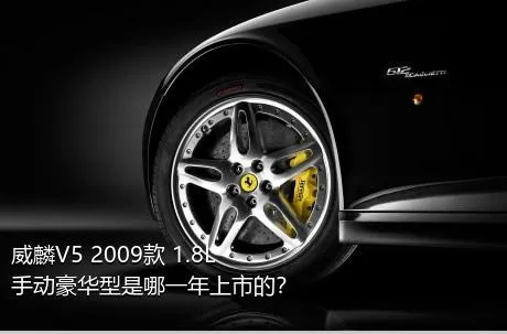 威麟V5 2009款 1.8L 手动豪华型是哪一年上市的？