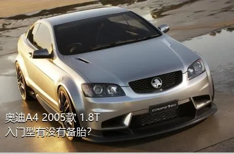 奥迪A4 2005款 1.8T 入门型有没有备胎？