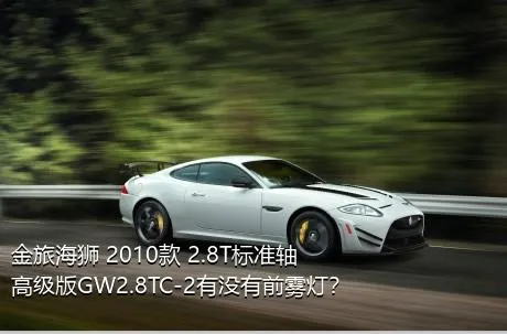 金旅海狮 2010款 2.8T标准轴高级版GW2.8TC-2有没有前雾灯？