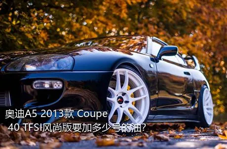 奥迪A5 2013款 Coupe 40 TFSI风尚版要加多少号的油？