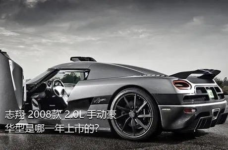 志翔 2008款 2.0L 手动豪华型是哪一年上市的？