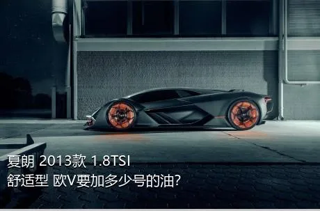 夏朗 2013款 1.8TSI 舒适型 欧V要加多少号的油？