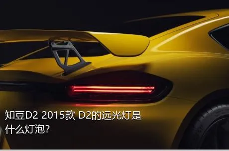 知豆D2 2015款 D2的远光灯是什么灯泡？