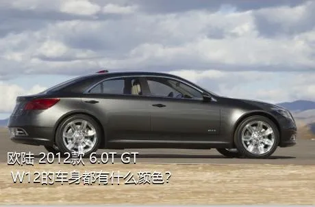 欧陆 2012款 6.0T GT W12的车身都有什么颜色？