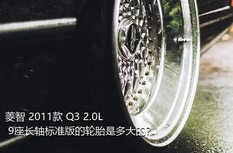 菱智 2011款 Q3 2.0L 9座长轴标准版的轮胎是多大的？