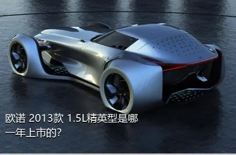 欧诺 2013款 1.5L精英型是哪一年上市的？