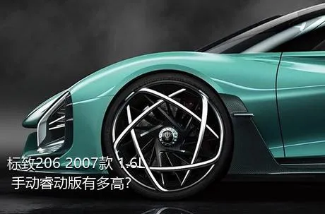 标致206 2007款 1.6L 手动睿动版有多高？