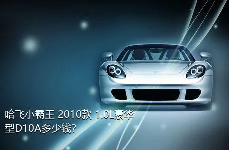 哈飞小霸王 2010款 1.0L豪华型D10A多少钱？