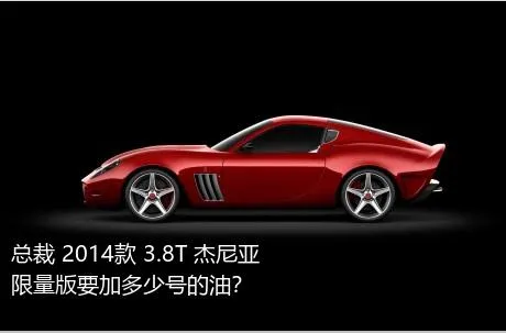 总裁 2014款 3.8T 杰尼亚限量版要加多少号的油？