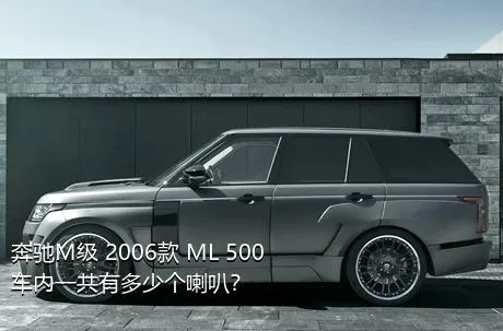 奔驰M级 2006款 ML 500车内一共有多少个喇叭？