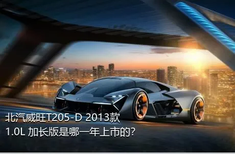 北汽威旺T205-D 2013款 1.0L 加长版是哪一年上市的？