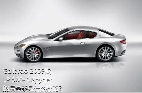 Gallardo 2009款 LP 560-4 Spyder的后悬架是什么样的？