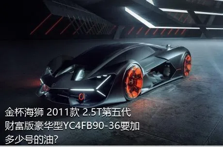 金杯海狮 2011款 2.5T第五代财富版豪华型YC4FB90-36要加多少号的油？