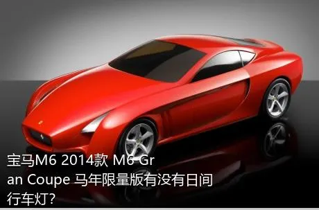 宝马M6 2014款 M6 Gran Coupe 马年限量版有没有日间行车灯？