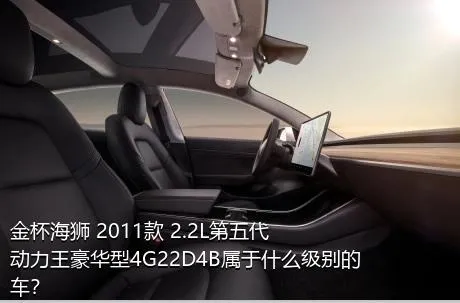 金杯海狮 2011款 2.2L第五代动力王豪华型4G22D4B属于什么级别的车？